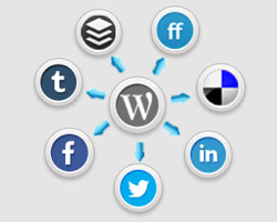 SEO FLINT 810 313 DETROIT WEB DESIGNS WEBDESIGN JOOMLA WORDPRESS